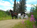 wedding carriage